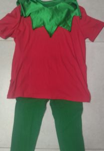 Kids Costumes to Hire - Elf - 13 Years